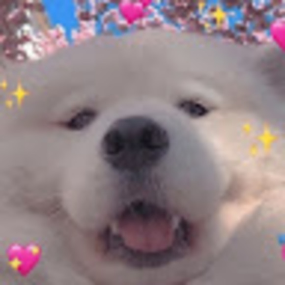 Meet your Posher, William - Picture 1 of 1